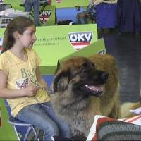 Salzburg Clubschau Mai 06 229 